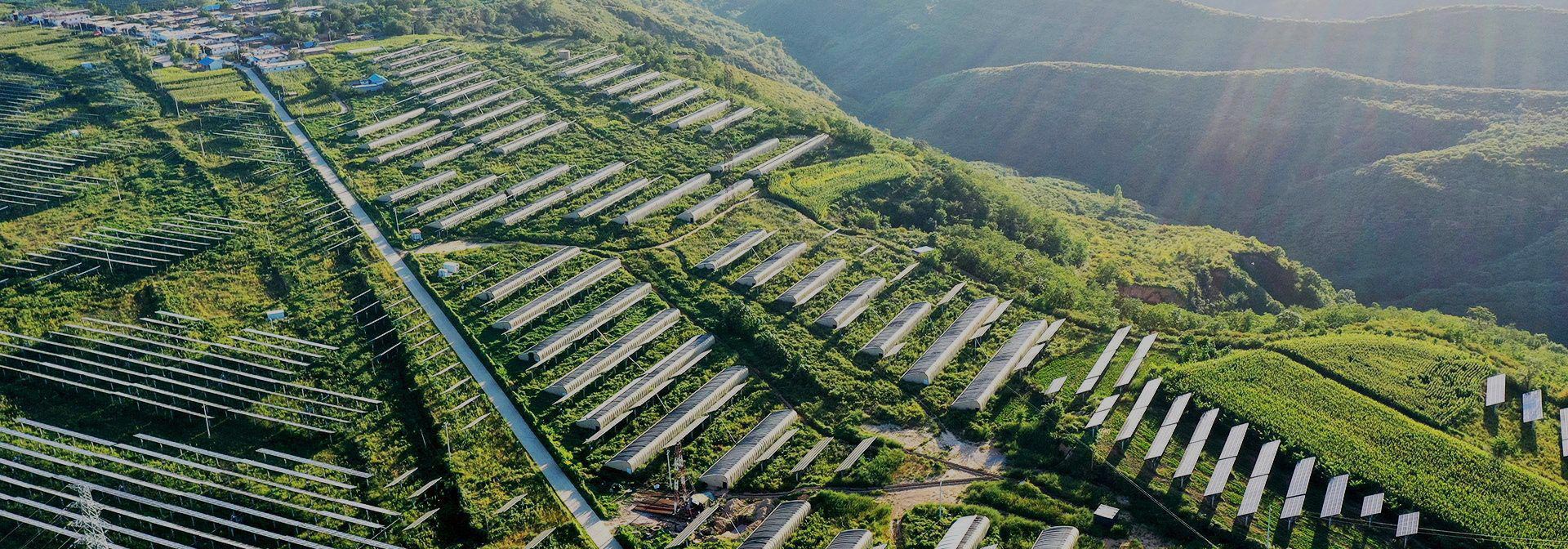 联系开云电子登录_开云（中国）